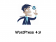 WordPress升级到WordPress4.9的办法